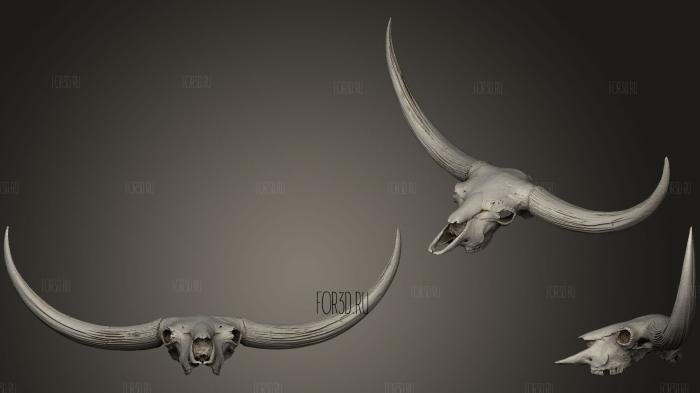 Bison Latifrons Skull stl model for CNC